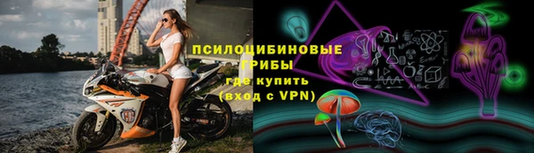 кокс Аркадак