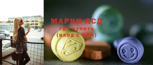 хмурый Арсеньев