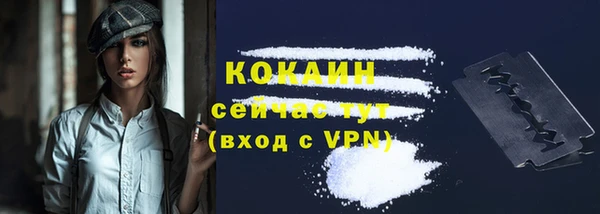 кокс Аркадак