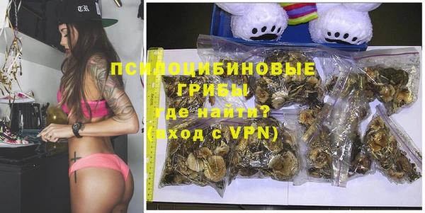 хмурый Арсеньев