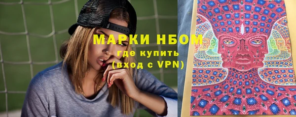 хмурый Арсеньев
