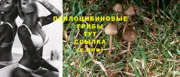ГАЛЛЮЦИНОГЕННЫЕ ГРИБЫ Баксан