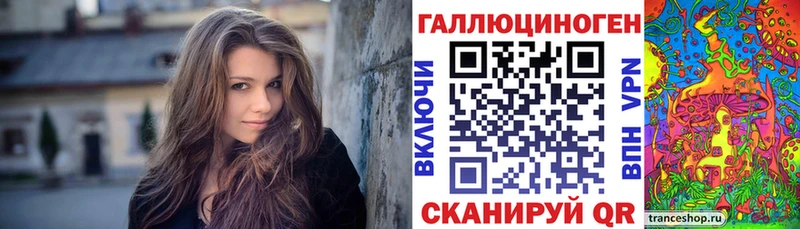 Псилоцибиновые грибы Cubensis  Камень-на-Оби 